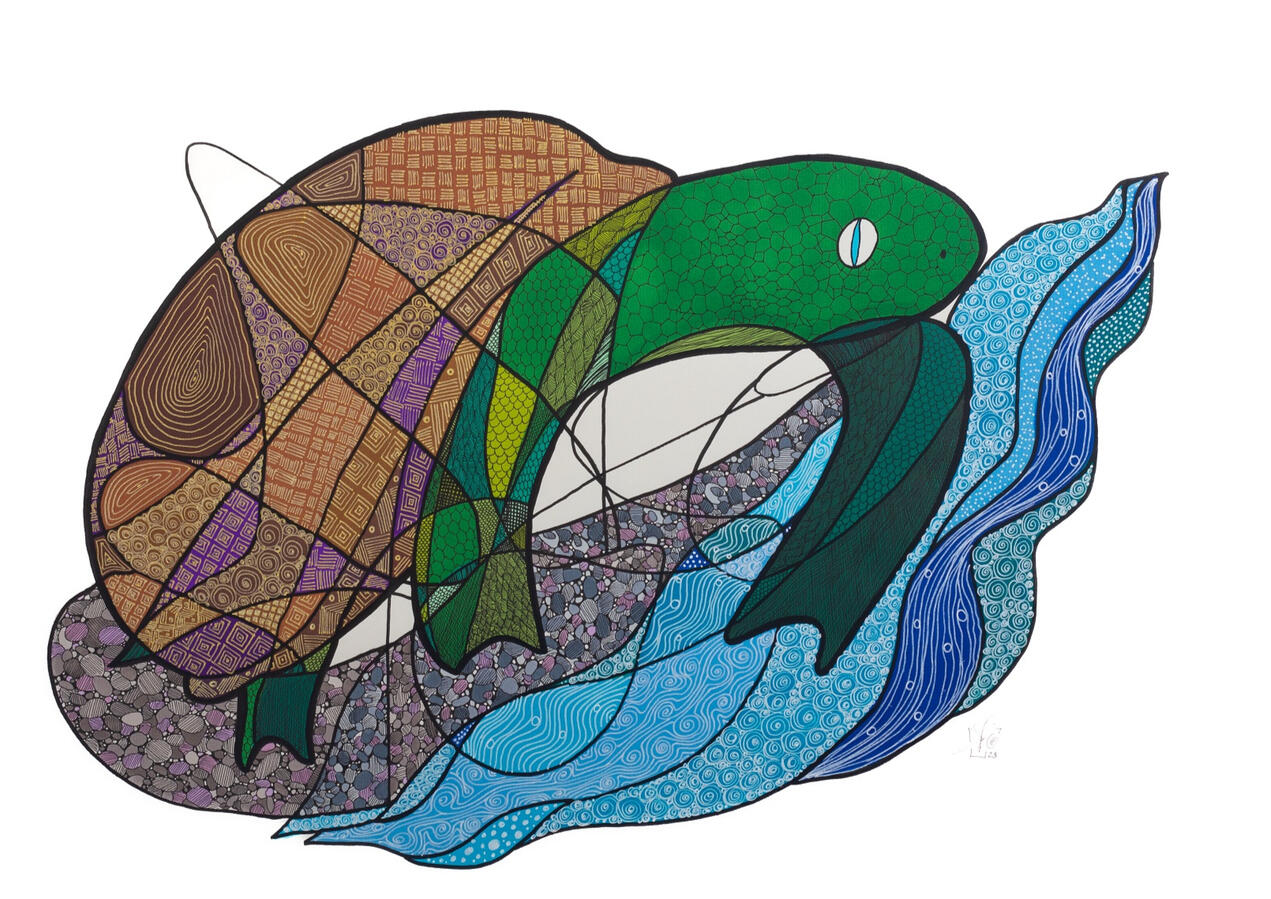 Tortue Tortue