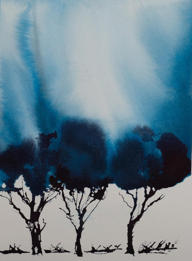 Blue Savanna Blue Savanna